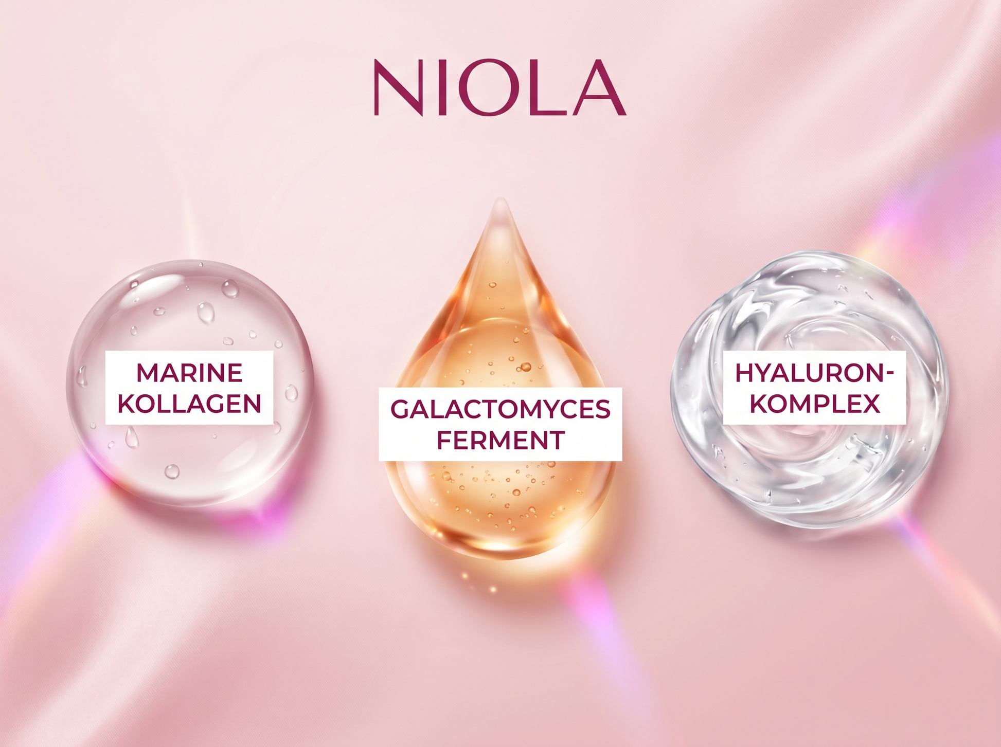 Niola Inhaltsstoffe